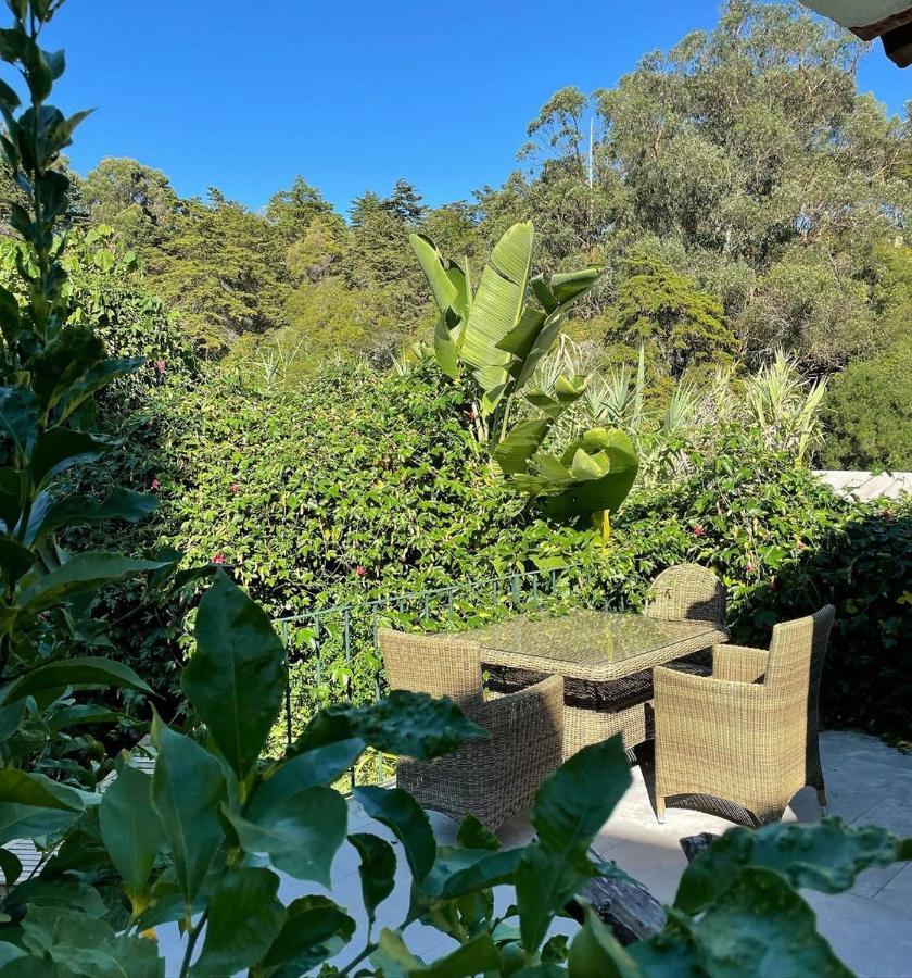 Casa Holstein Quinta de Sao Sebastiao Sintra Exterior foto