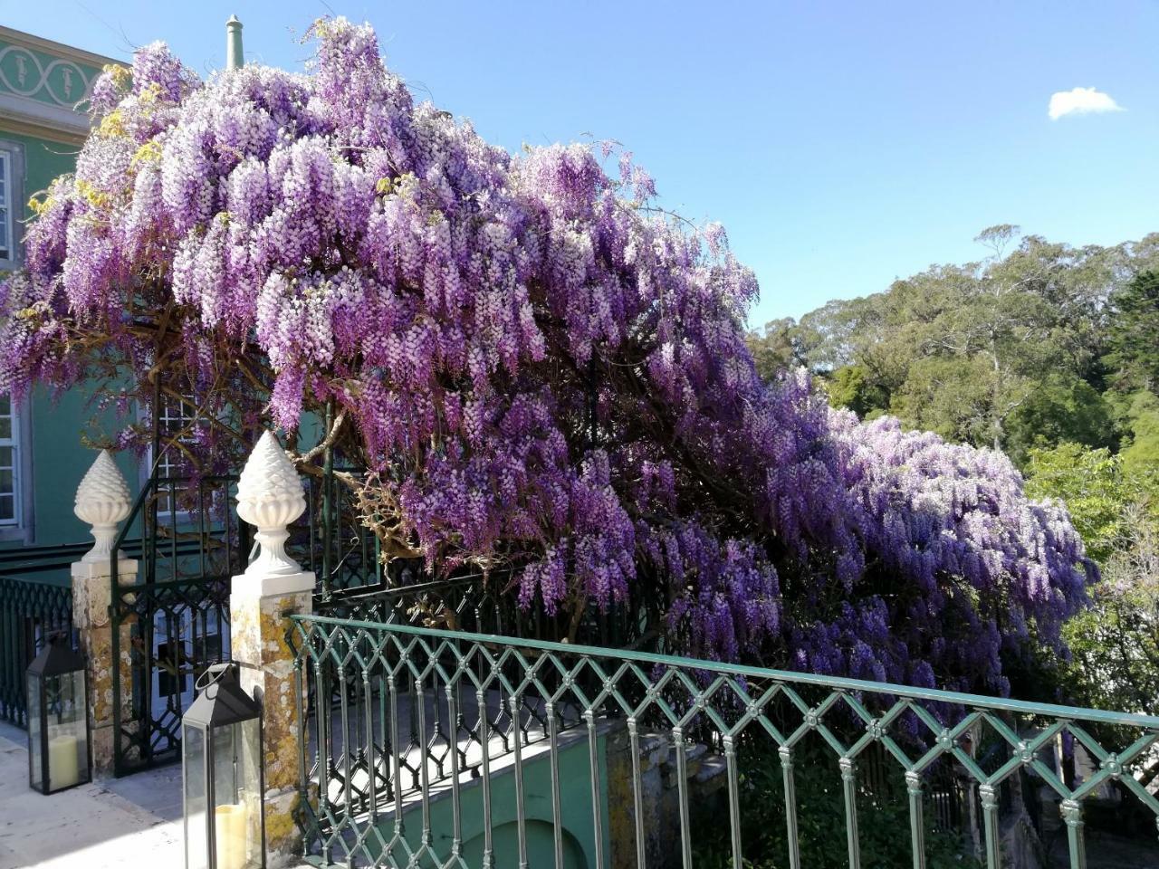 Casa Holstein Quinta de Sao Sebastiao Sintra Exterior foto
